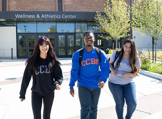     Three students walking around campus on a sunny day